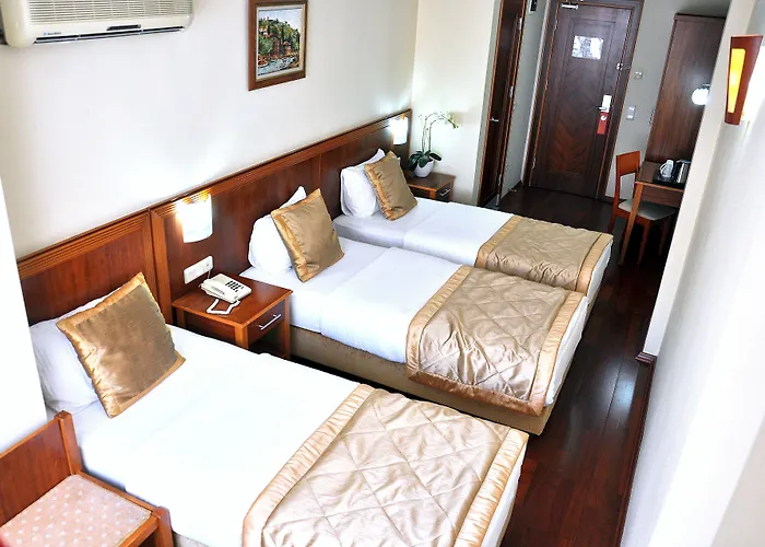 Centrum 2* Istanboel